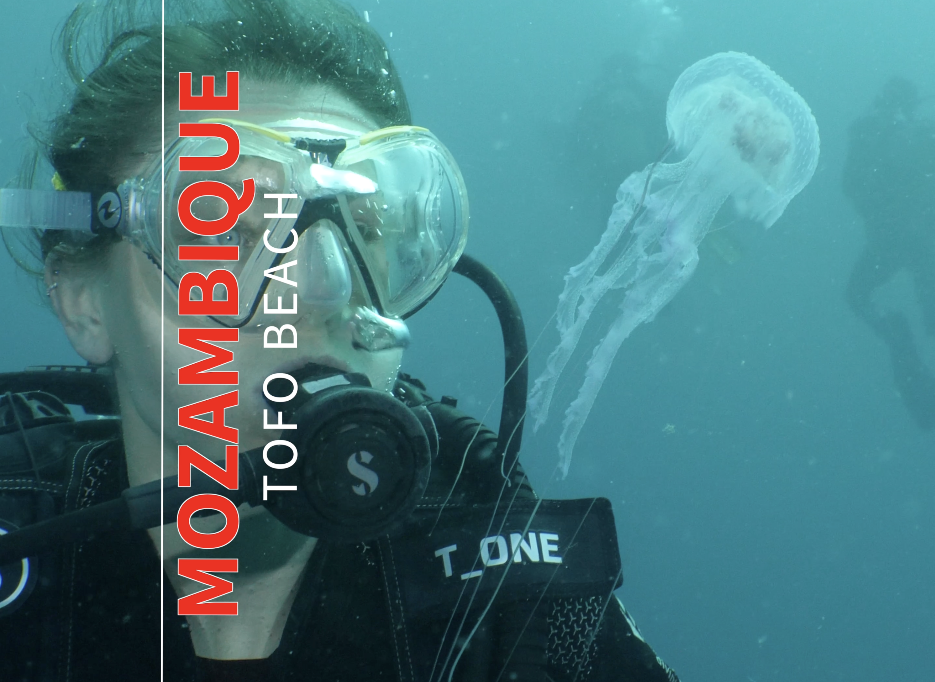 Exploring the Diverse Underwater World of Mozambique